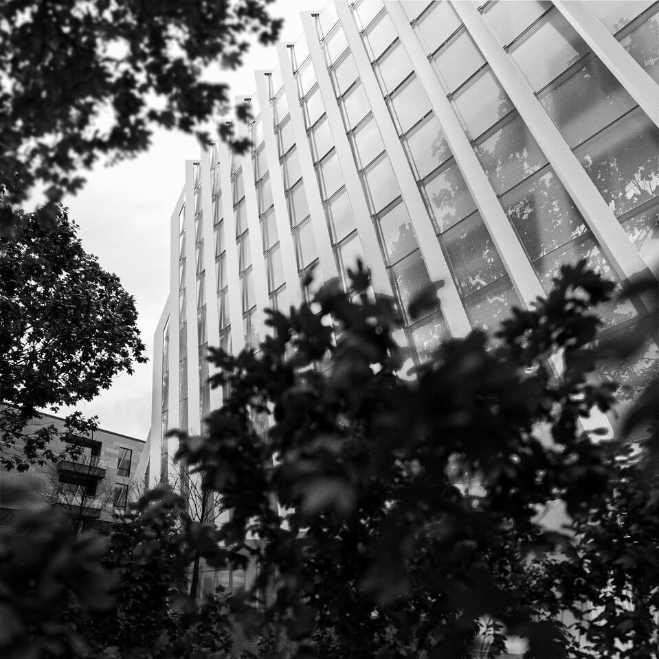 Social Center, Vigo, Spain | VI17